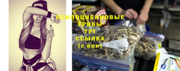спиды Алексеевка