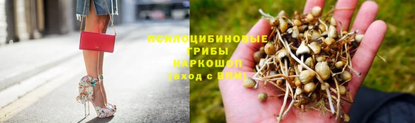 герыч Сатка