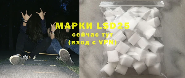 ECSTASY Алзамай