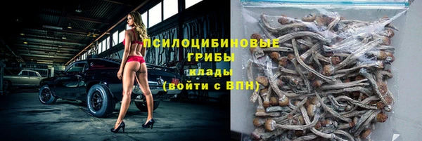 спиды Алексеевка