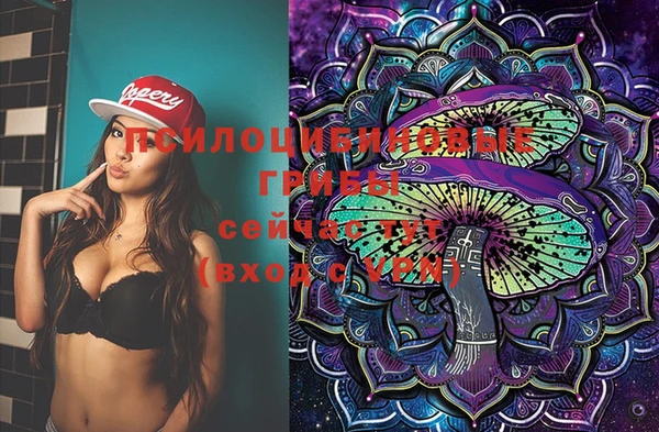 ECSTASY Алзамай
