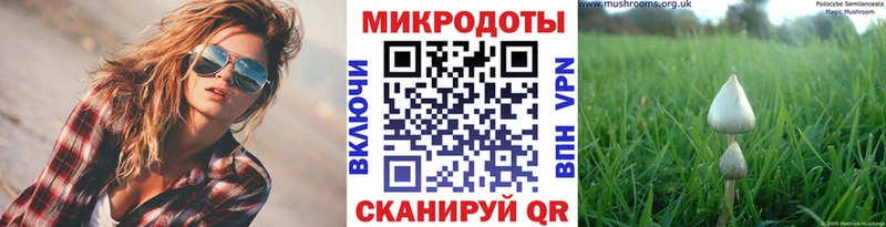 гидра ссылки  Бабаево  Псилоцибиновые грибы Magic Shrooms 