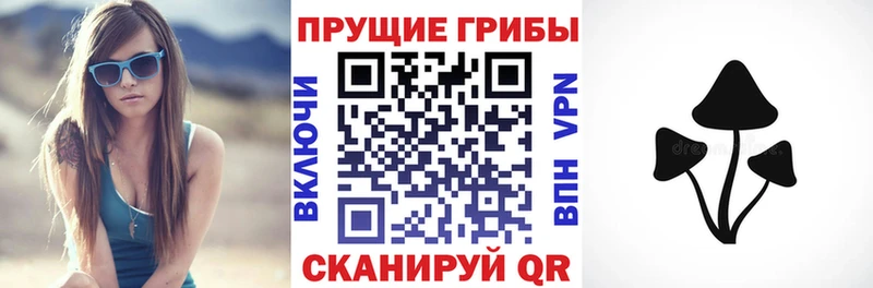 Псилоцибиновые грибы Psilocybine cubensis Бабаево